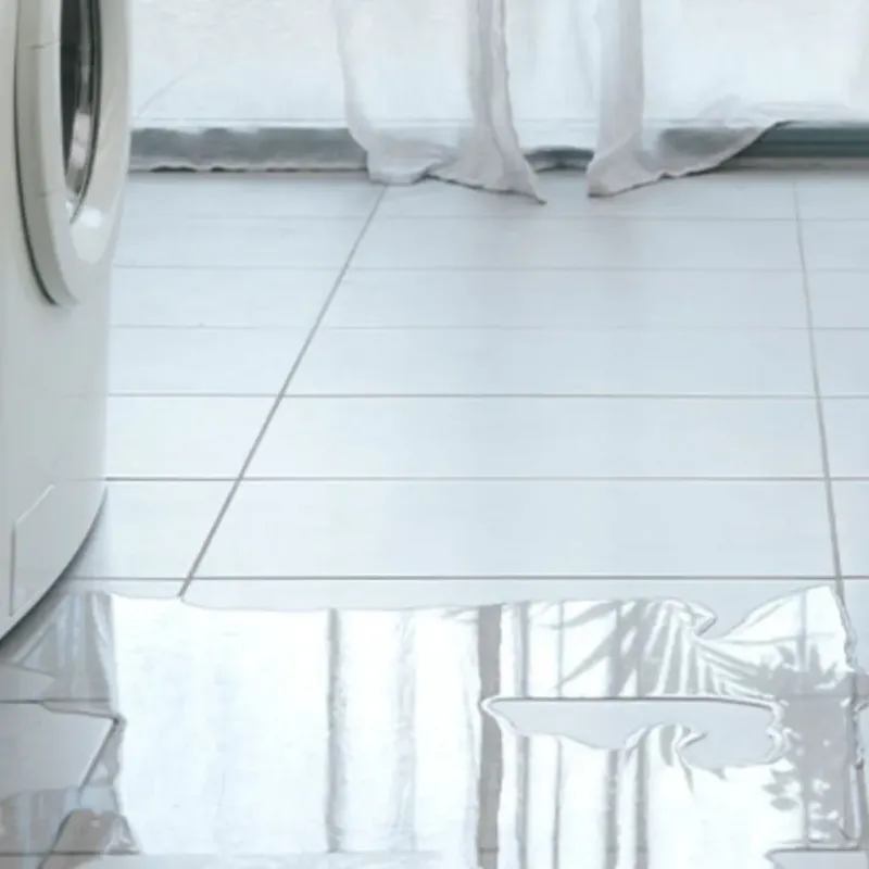 Appliance Leak Cleanup in Westchase, FL