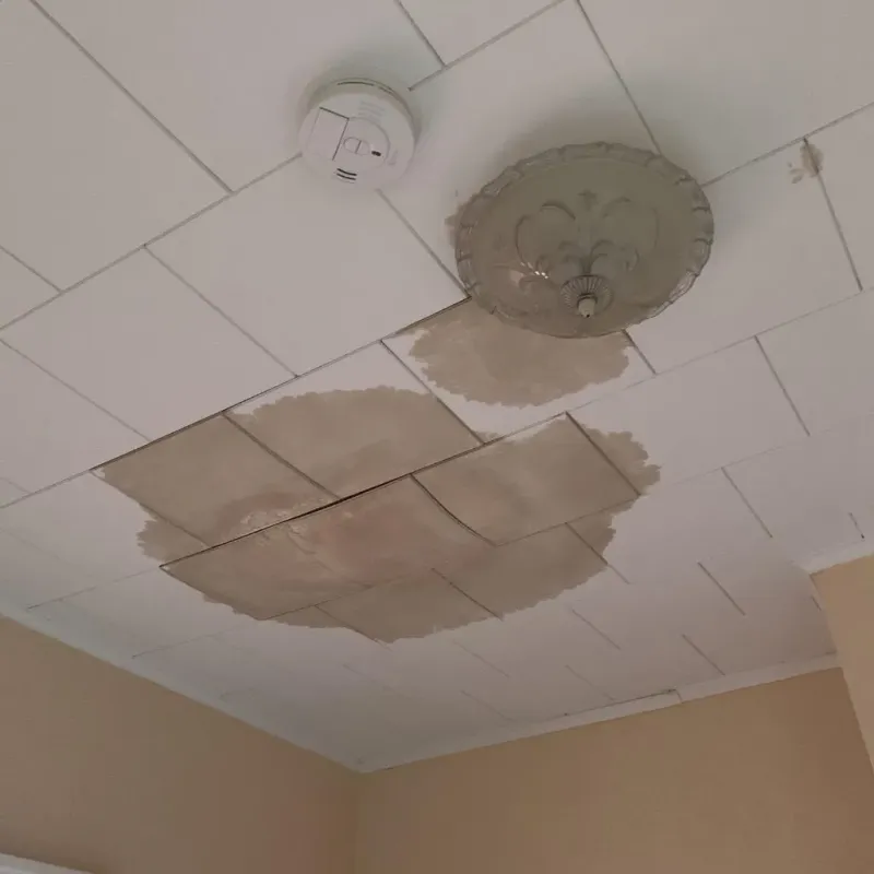 Ceiling Water Damage Repair in Westchase, FL